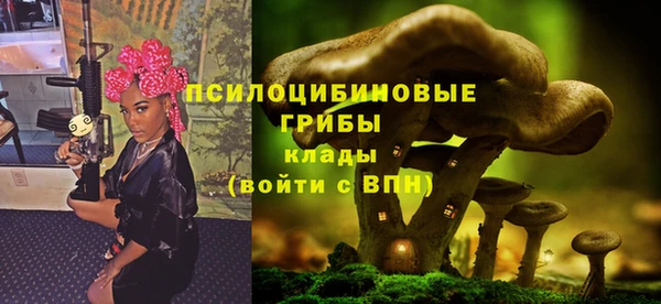 гашик Заволжск